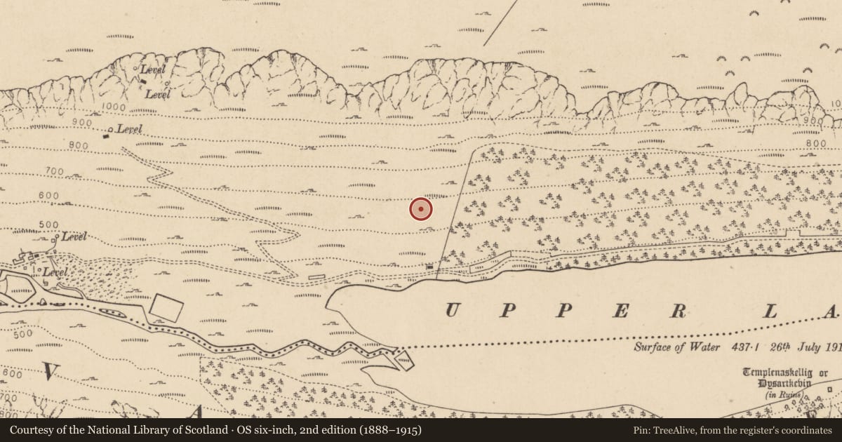 Ordnance Survey six-inch map, 2nd edition (1888–1915) covering the location of Charcoal-making site, Sevenchurches Or Camaderry, County Wicklow, with a pin at the register's coordinates