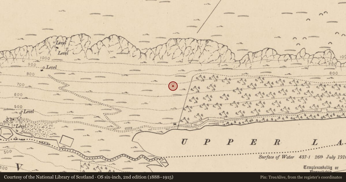 Ordnance Survey six-inch map, 2nd edition (1888–1915) covering the location of Charcoal-making site, Sevenchurches Or Camaderry, County Wicklow, with a pin at the register's coordinates