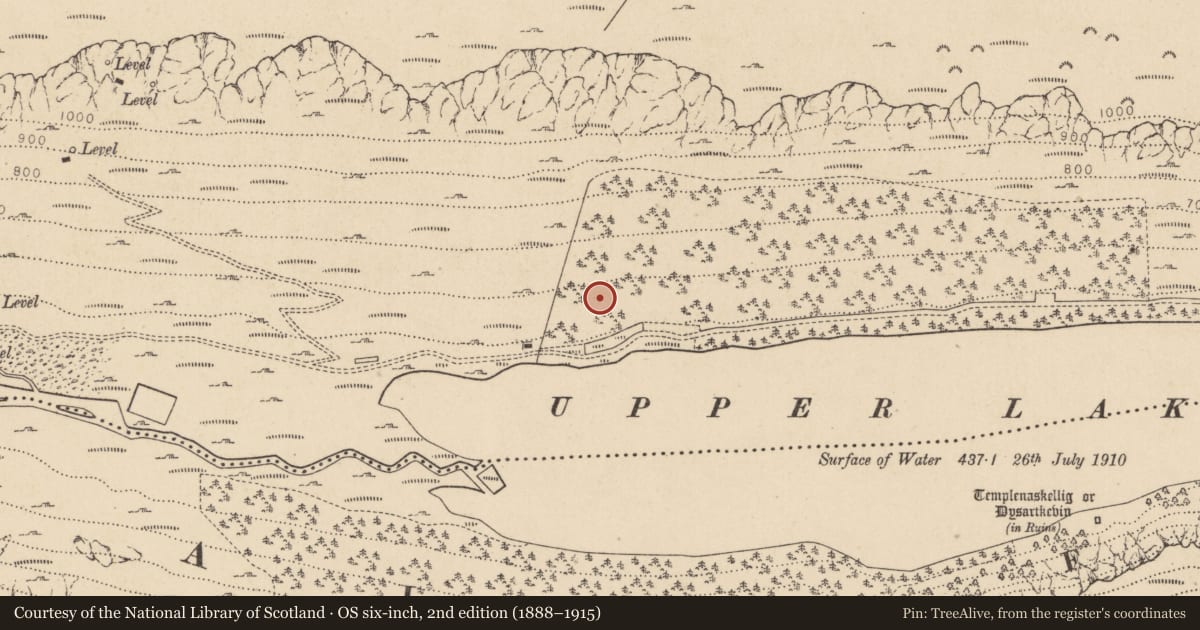 Ordnance Survey six-inch map, 2nd edition (1888–1915) covering the location of Charcoal-making site, Sevenchurches Or Camaderry, County Wicklow, with a pin at the register's coordinates