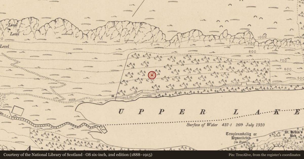 Ordnance Survey six-inch map, 2nd edition (1888–1915) covering the location of Charcoal-making site, Sevenchurches Or Camaderry, County Wicklow, with a pin at the register's coordinates