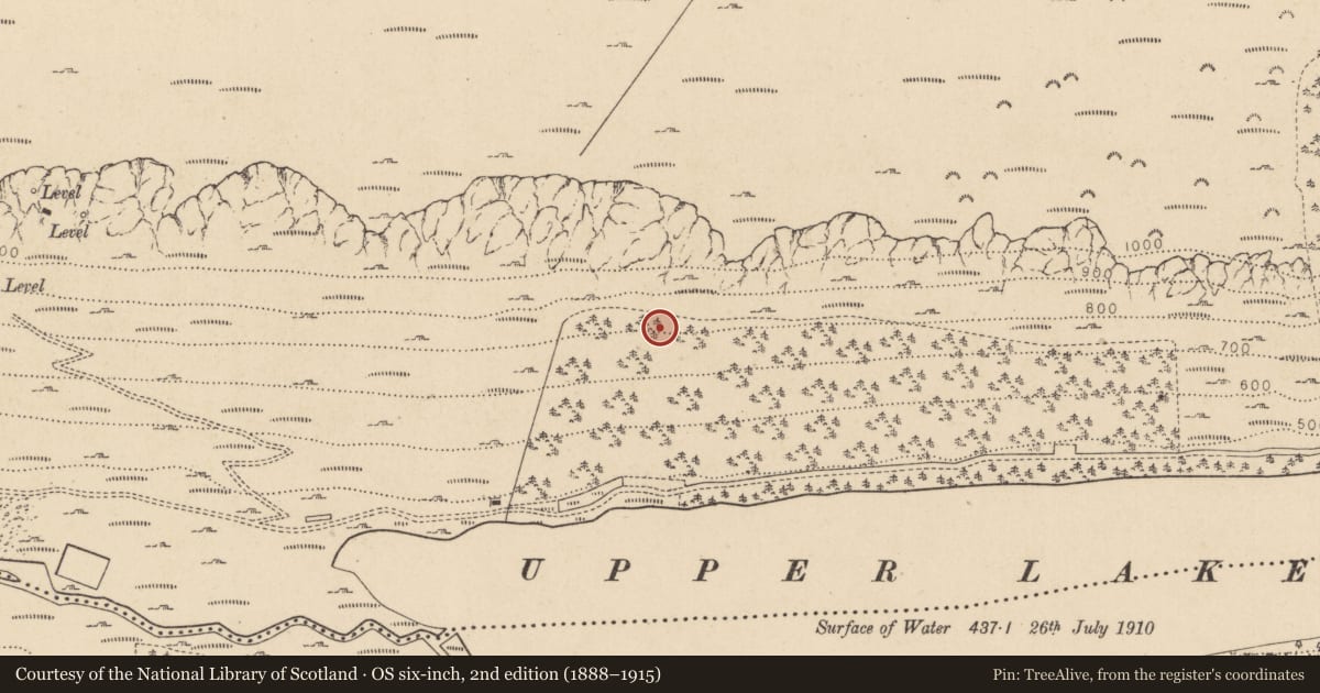 Ordnance Survey six-inch map, 2nd edition (1888–1915) covering the location of Charcoal-making site, Sevenchurches Or Camaderry, County Wicklow, with a pin at the register's coordinates