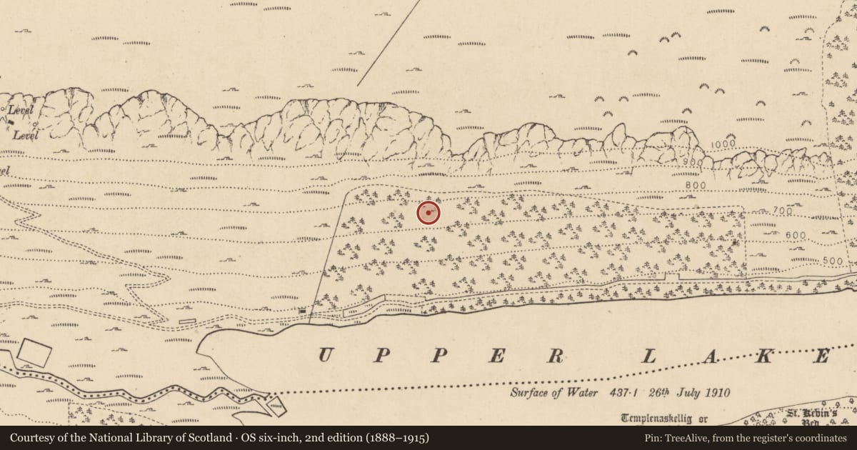 Ordnance Survey six-inch map, 2nd edition (1888–1915) covering the location of Charcoal-making site, Sevenchurches Or Camaderry, County Wicklow, with a pin at the register's coordinates