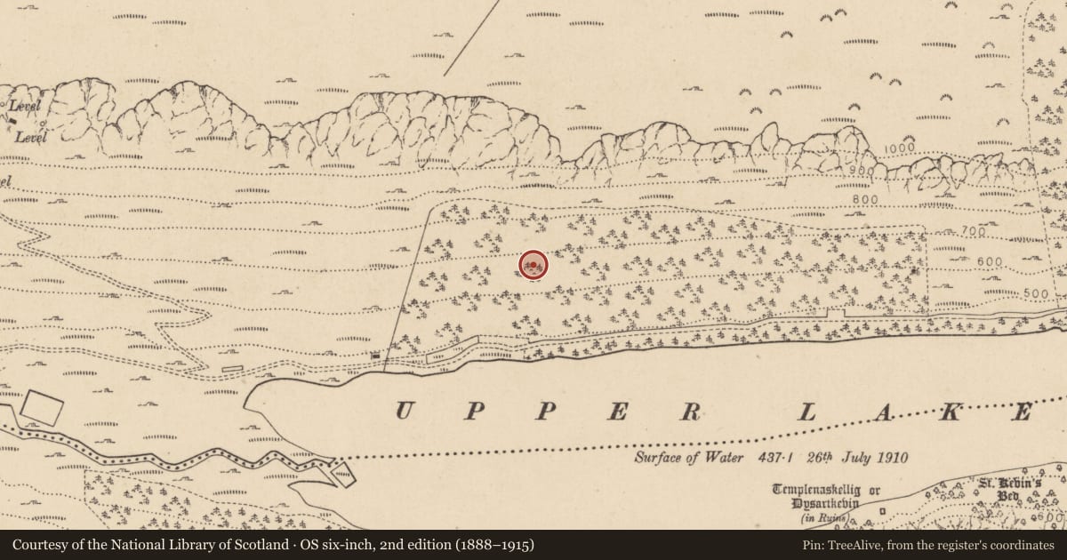 Ordnance Survey six-inch map, 2nd edition (1888–1915) covering the location of Charcoal-making site, Sevenchurches Or Camaderry, County Wicklow, with a pin at the register's coordinates