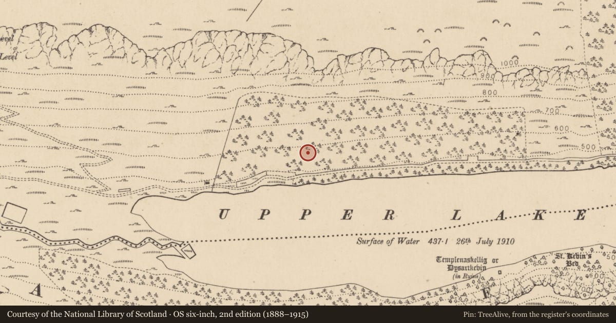 Ordnance Survey six-inch map, 2nd edition (1888–1915) covering the location of Charcoal-making site, Sevenchurches Or Camaderry, County Wicklow, with a pin at the register's coordinates