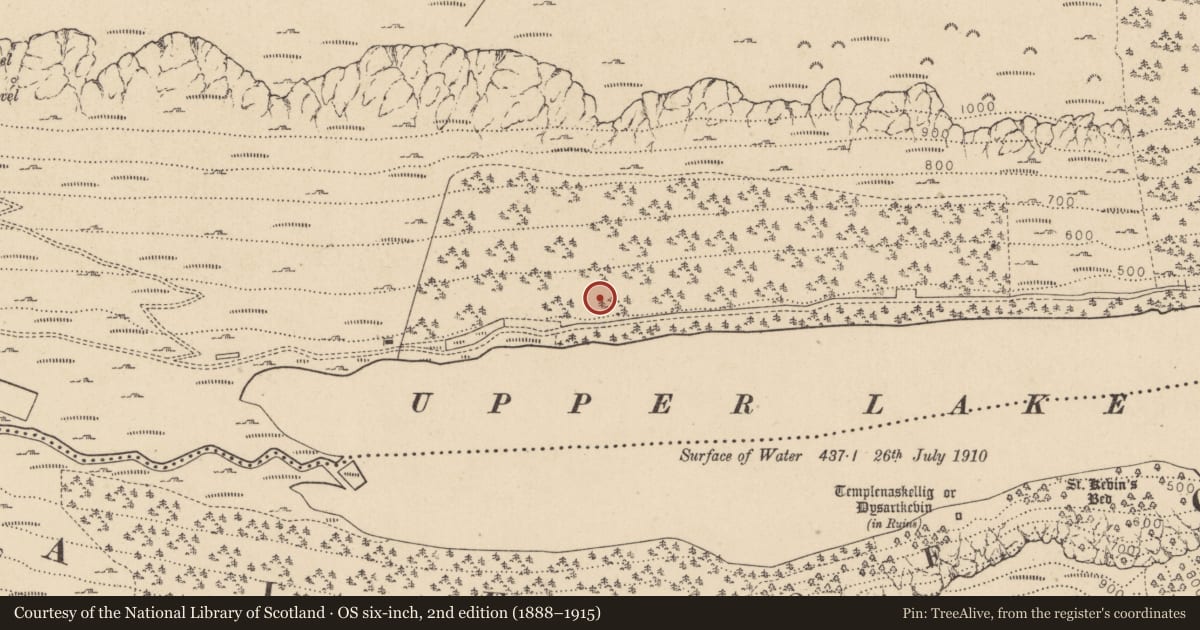 Ordnance Survey six-inch map, 2nd edition (1888–1915) covering the location of Charcoal-making site, Sevenchurches Or Camaderry, County Wicklow, with a pin at the register's coordinates
