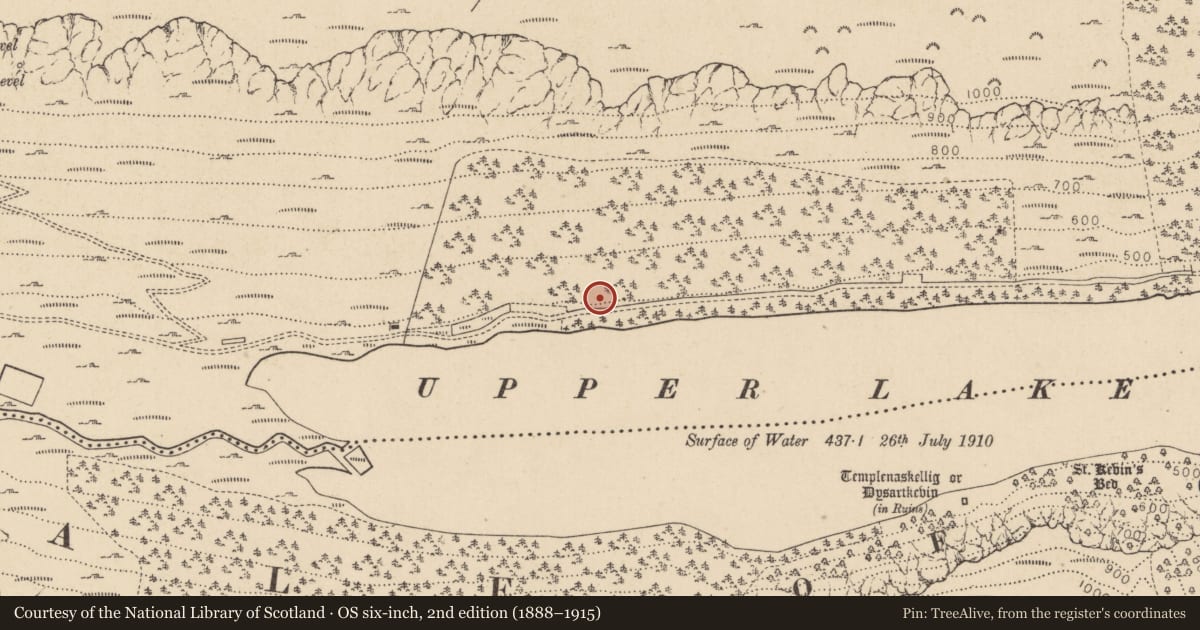 Ordnance Survey six-inch map, 2nd edition (1888–1915) covering the location of Charcoal-making site, Sevenchurches Or Camaderry, County Wicklow, with a pin at the register's coordinates