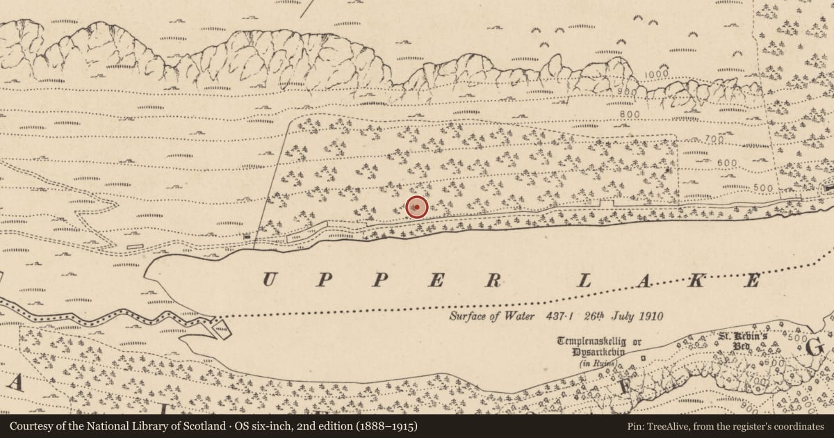 Ordnance Survey six-inch map, 2nd edition (1888–1915) covering the location of Charcoal-making site, Sevenchurches Or Camaderry, County Wicklow, with a pin at the register's coordinates