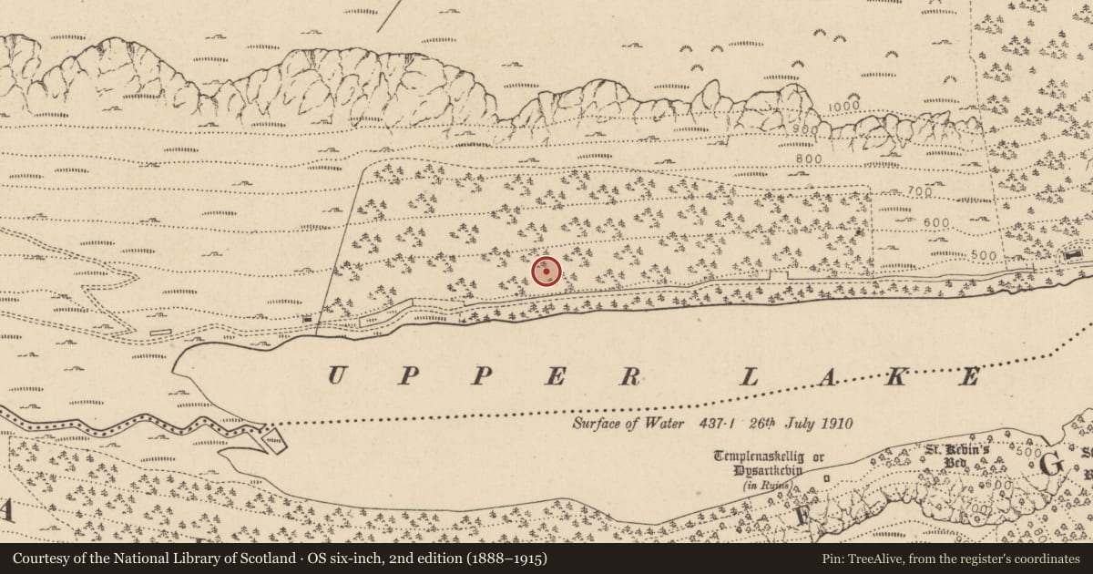 Ordnance Survey six-inch map, 2nd edition (1888–1915) covering the location of Charcoal-making site, Sevenchurches Or Camaderry, County Wicklow, with a pin at the register's coordinates