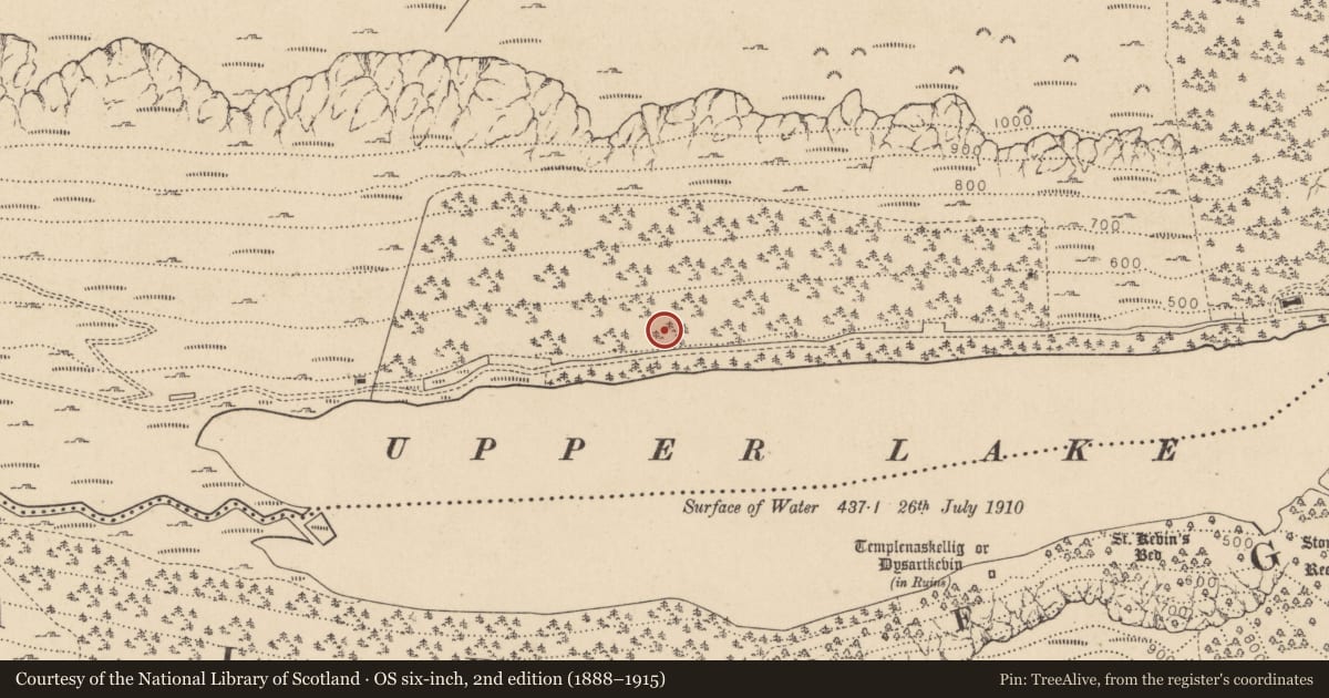 Ordnance Survey six-inch map, 2nd edition (1888–1915) covering the location of Charcoal-making site, Sevenchurches Or Camaderry, County Wicklow, with a pin at the register's coordinates