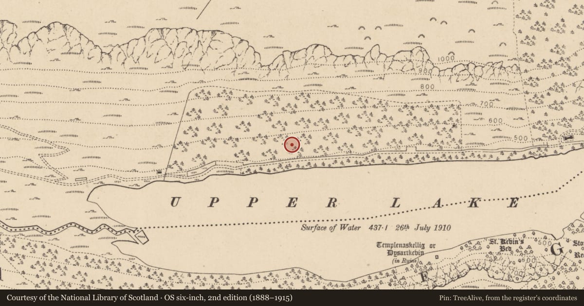 Ordnance Survey six-inch map, 2nd edition (1888–1915) covering the location of Charcoal-making site, Sevenchurches Or Camaderry, County Wicklow, with a pin at the register's coordinates