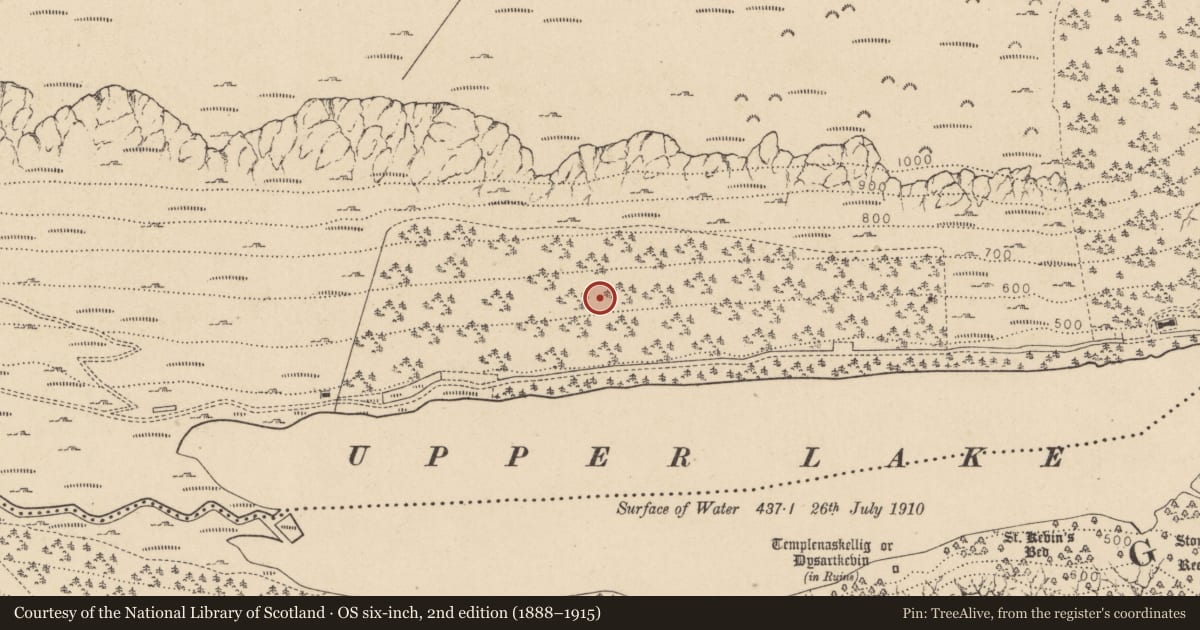 Ordnance Survey six-inch map, 2nd edition (1888–1915) covering the location of Charcoal-making site, Sevenchurches Or Camaderry, County Wicklow, with a pin at the register's coordinates