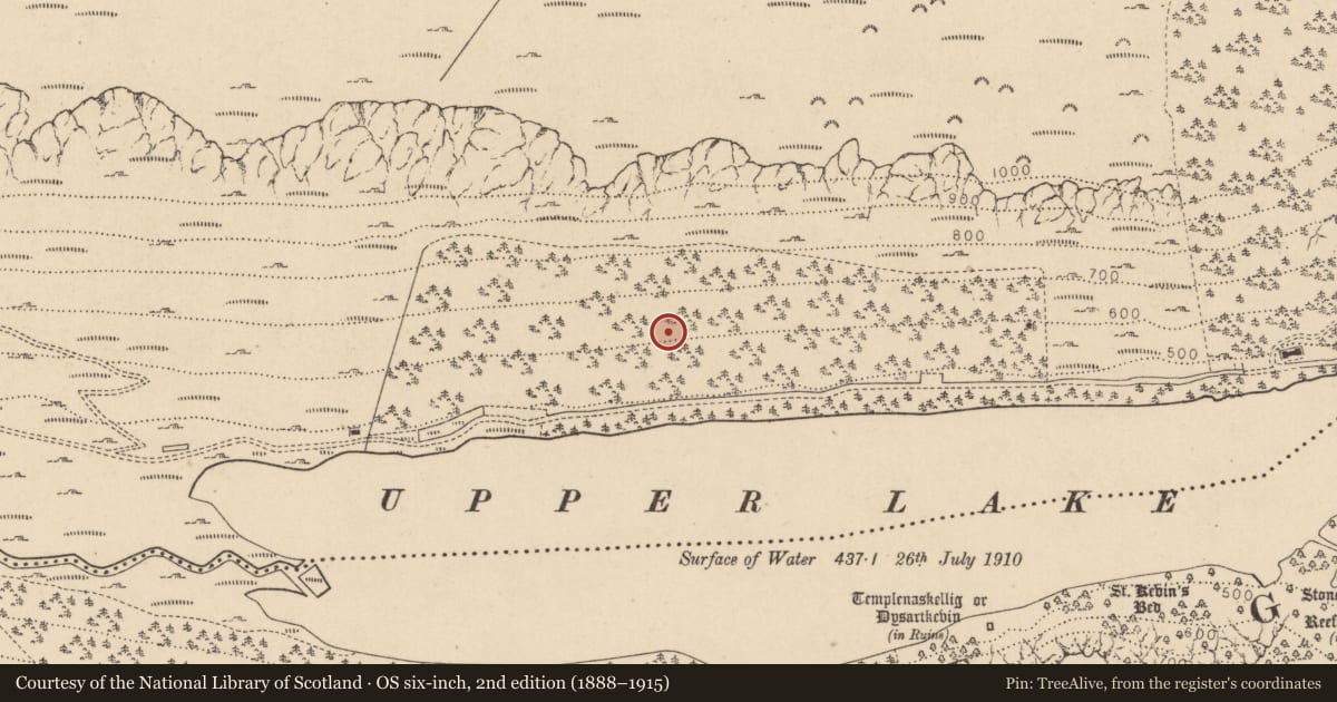 Ordnance Survey six-inch map, 2nd edition (1888–1915) covering the location of Charcoal-making site, Sevenchurches Or Camaderry, County Wicklow, with a pin at the register's coordinates