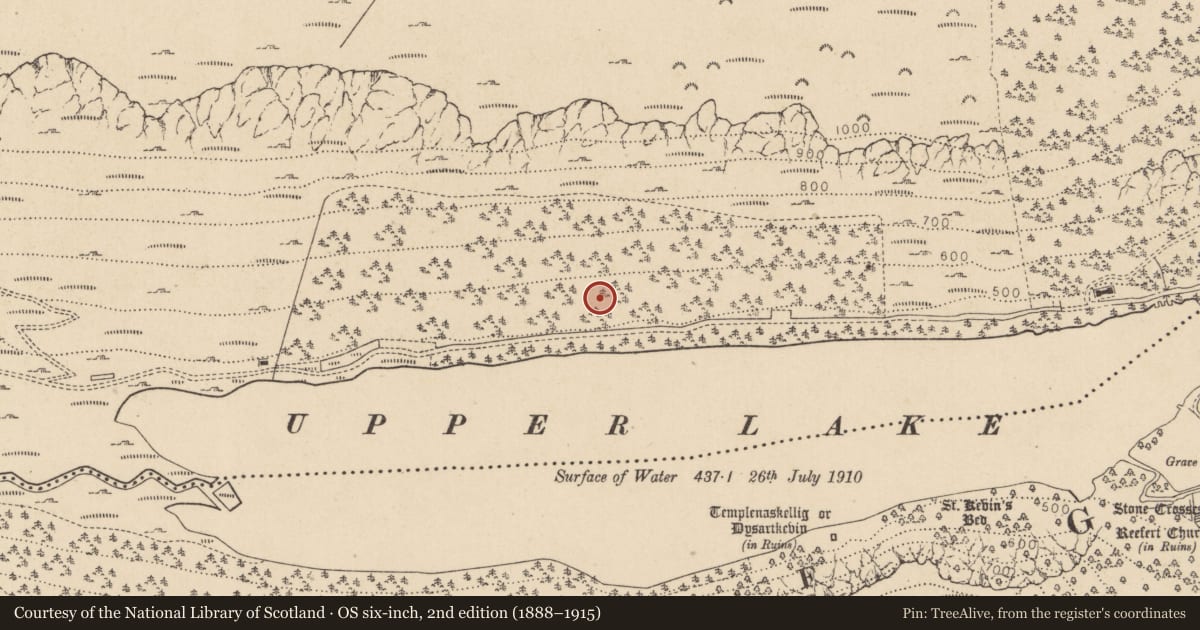 Ordnance Survey six-inch map, 2nd edition (1888–1915) covering the location of Charcoal-making site, Sevenchurches Or Camaderry, County Wicklow, with a pin at the register's coordinates