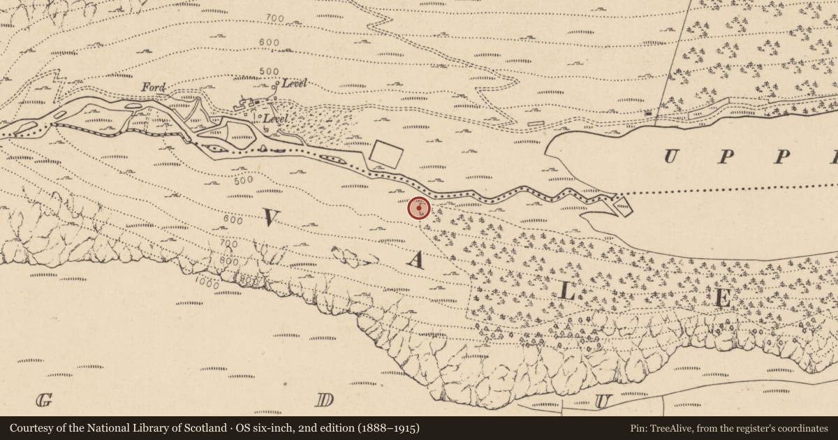 Ordnance Survey six-inch map, 2nd edition (1888–1915) covering the location of Charcoal-making site, Lugduff, County Wicklow, with a pin at the register's coordinates