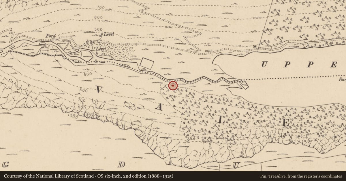 Ordnance Survey six-inch map, 2nd edition (1888–1915) covering the location of Charcoal-making site, Lugduff, County Wicklow, with a pin at the register's coordinates
