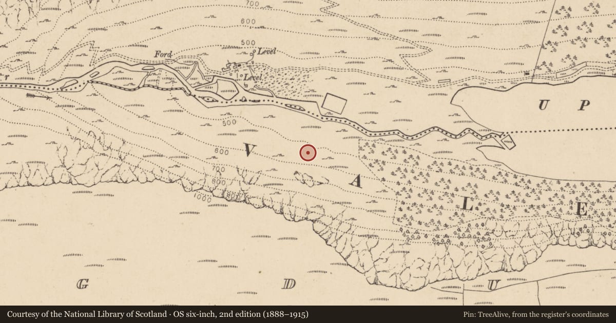 Ordnance Survey six-inch map, 2nd edition (1888–1915) covering the location of Charcoal-making site, Lugduff, County Wicklow, with a pin at the register's coordinates