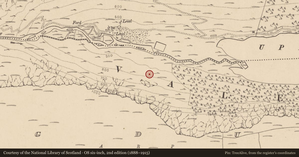 Ordnance Survey six-inch map, 2nd edition (1888–1915) covering the location of Charcoal-making site, Lugduff, County Wicklow, with a pin at the register's coordinates