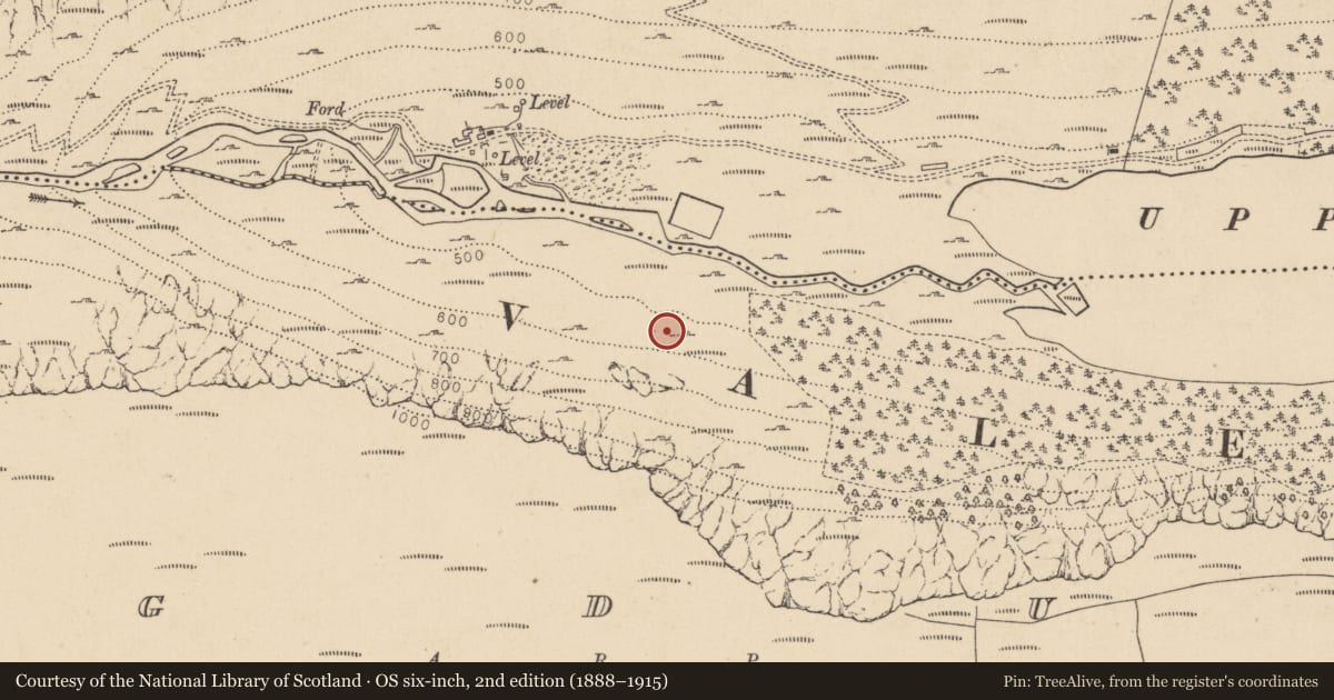 Ordnance Survey six-inch map, 2nd edition (1888–1915) covering the location of Charcoal-making site, Lugduff, County Wicklow, with a pin at the register's coordinates