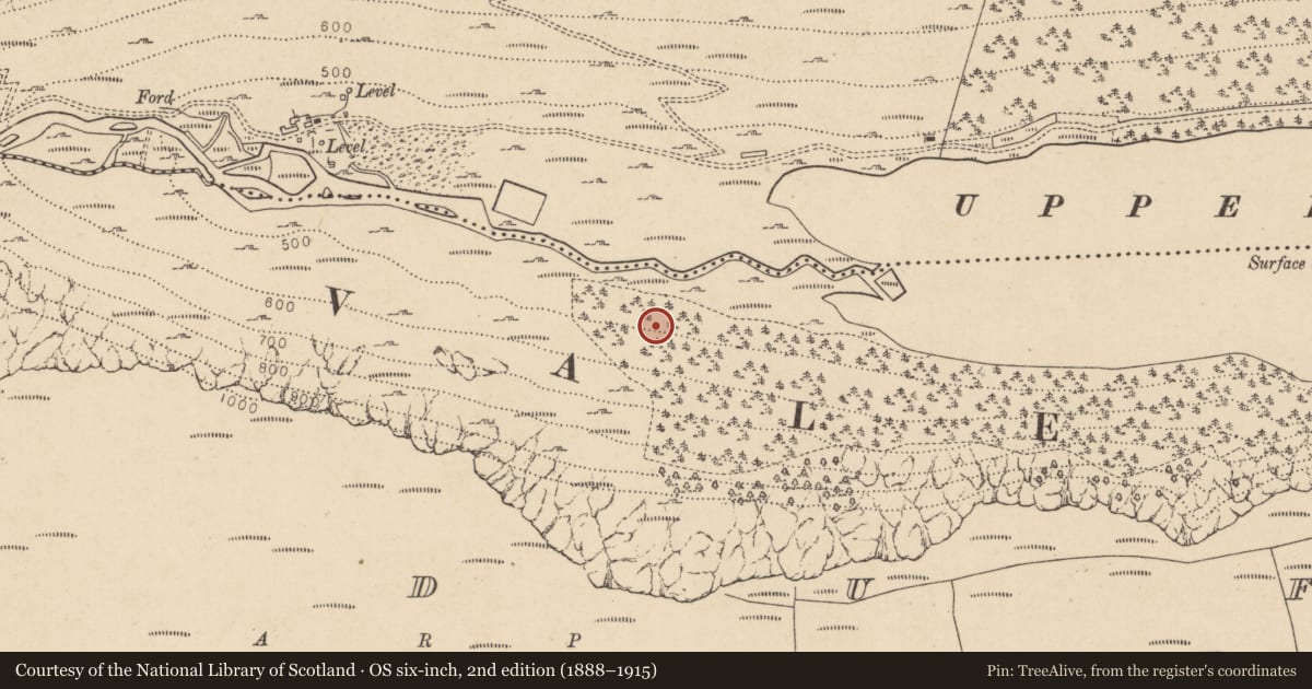 Ordnance Survey six-inch map, 2nd edition (1888–1915) covering the location of Charcoal-making site, Lugduff, County Wicklow, with a pin at the register's coordinates
