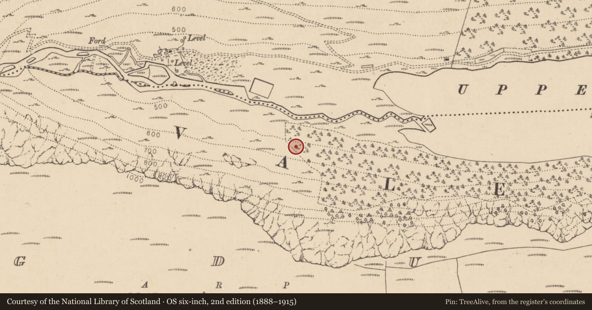 Ordnance Survey six-inch map, 2nd edition (1888–1915) covering the location of Charcoal-making site, Lugduff, County Wicklow, with a pin at the register's coordinates