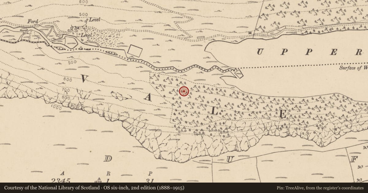 Ordnance Survey six-inch map, 2nd edition (1888–1915) covering the location of Charcoal-making site, Lugduff, County Wicklow, with a pin at the register's coordinates