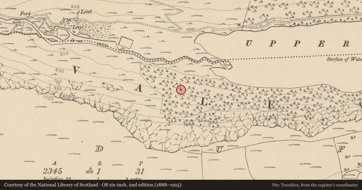 Ordnance Survey six-inch map, 2nd edition (1888–1915) covering the location of Charcoal-making site, Lugduff, County Wicklow, with a pin at the register's coordinates