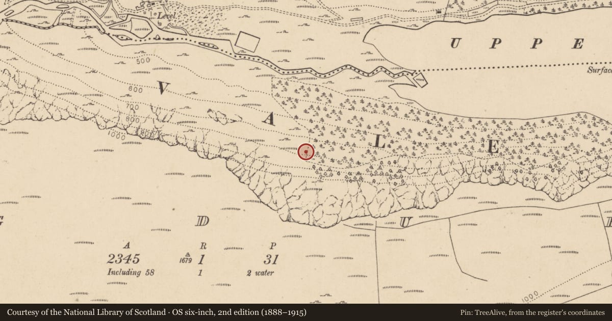 Ordnance Survey six-inch map, 2nd edition (1888–1915) covering the location of Charcoal-making site, Lugduff, County Wicklow, with a pin at the register's coordinates