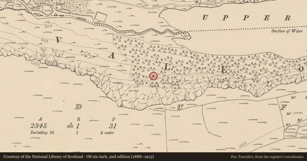 Ordnance Survey six-inch map, 2nd edition (1888–1915) covering the location of Charcoal-making site, Lugduff, County Wicklow, with a pin at the register's coordinates