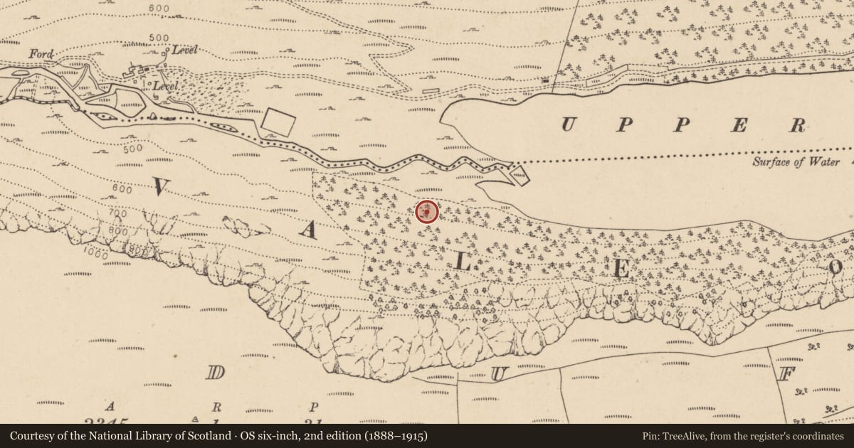 Ordnance Survey six-inch map, 2nd edition (1888–1915) covering the location of Charcoal-making site, Lugduff, County Wicklow, with a pin at the register's coordinates