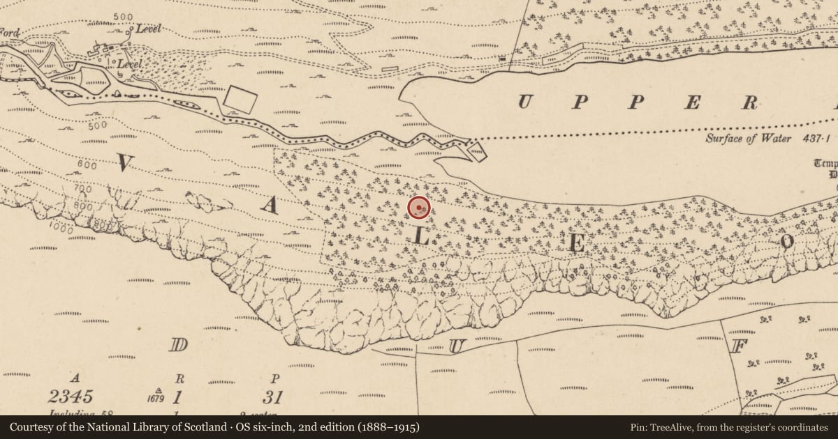 Ordnance Survey six-inch map, 2nd edition (1888–1915) covering the location of Charcoal-making site, Lugduff, County Wicklow, with a pin at the register's coordinates