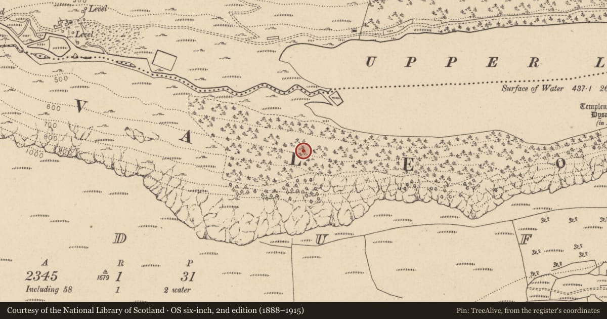 Ordnance Survey six-inch map, 2nd edition (1888–1915) covering the location of Charcoal-making site, Lugduff, County Wicklow, with a pin at the register's coordinates