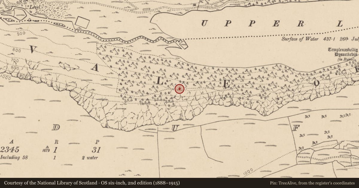 Ordnance Survey six-inch map, 2nd edition (1888–1915) covering the location of Charcoal-making site, Lugduff, County Wicklow, with a pin at the register's coordinates