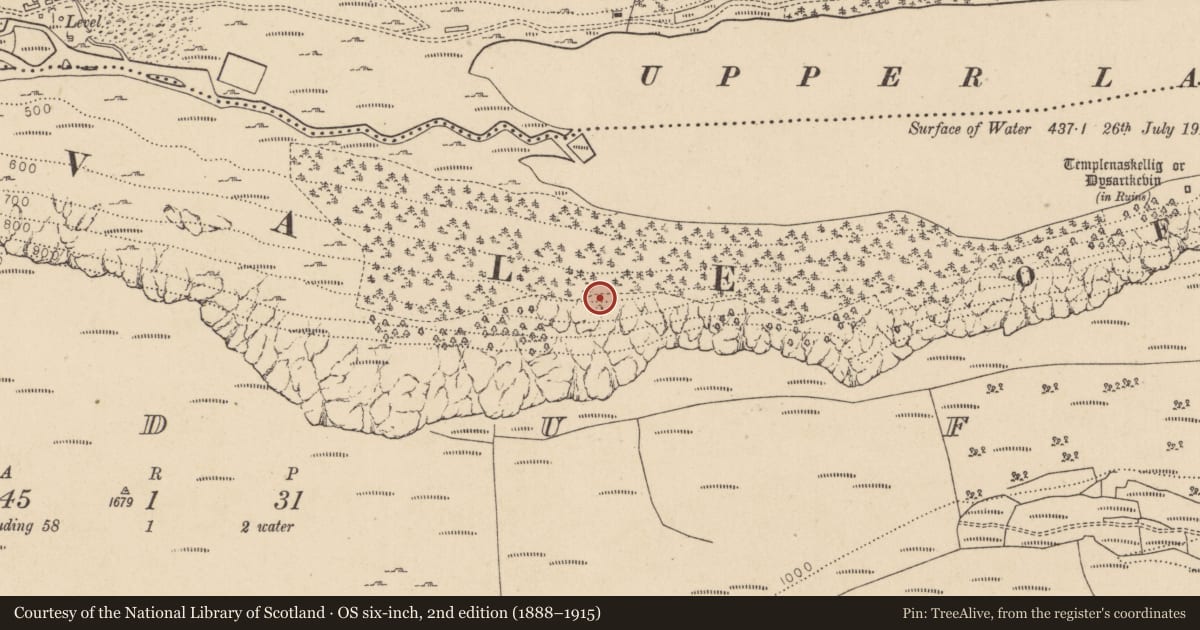Ordnance Survey six-inch map, 2nd edition (1888–1915) covering the location of Charcoal-making site, Lugduff, County Wicklow, with a pin at the register's coordinates