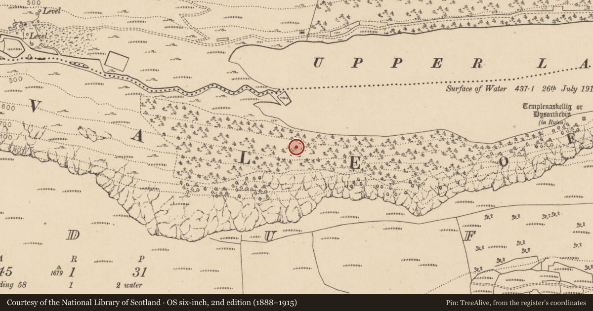 Ordnance Survey six-inch map, 2nd edition (1888–1915) covering the location of Charcoal-making site, Lugduff, County Wicklow, with a pin at the register's coordinates