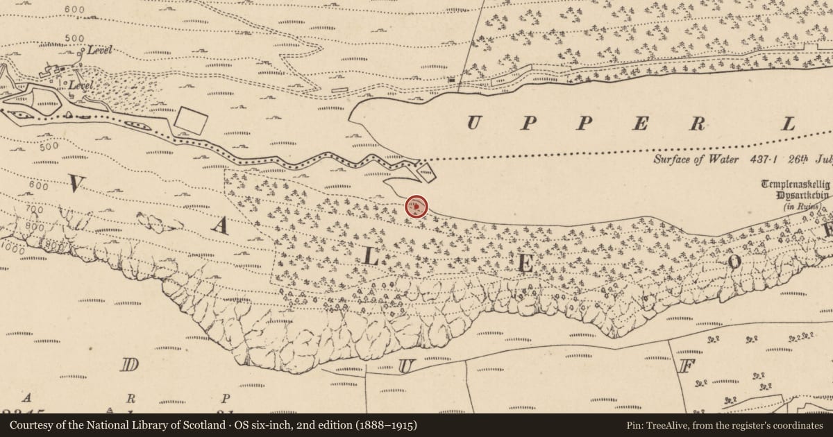 Ordnance Survey six-inch map, 2nd edition (1888–1915) covering the location of Charcoal-making site, Lugduff, County Wicklow, with a pin at the register's coordinates