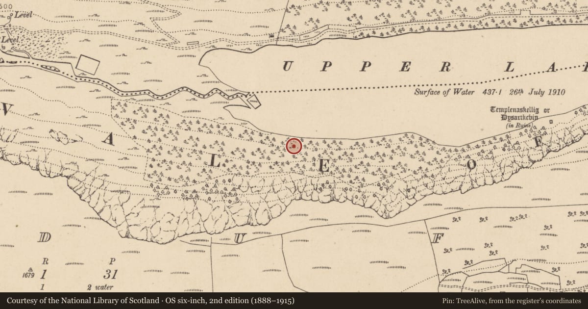 Ordnance Survey six-inch map, 2nd edition (1888–1915) covering the location of Charcoal-making site, Lugduff, County Wicklow, with a pin at the register's coordinates