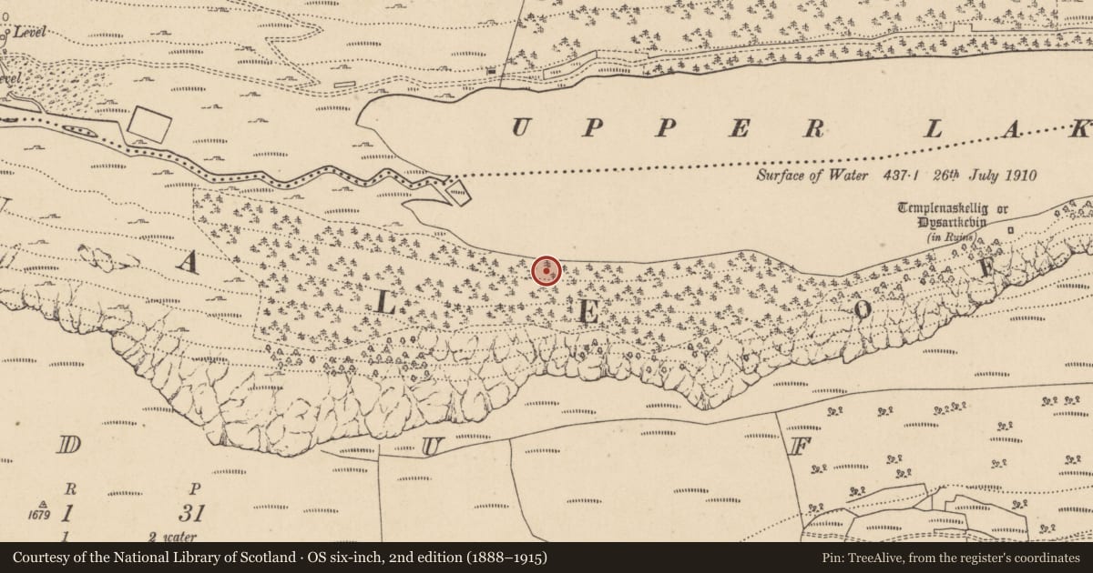 Ordnance Survey six-inch map, 2nd edition (1888–1915) covering the location of Charcoal-making site, Lugduff, County Wicklow, with a pin at the register's coordinates
