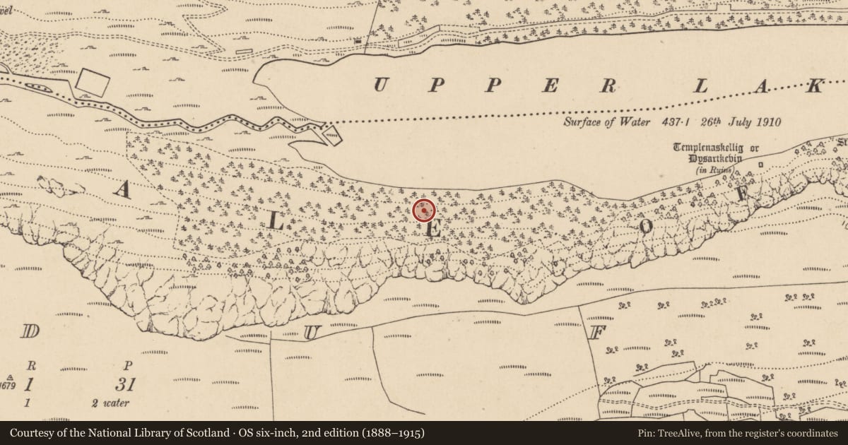 Ordnance Survey six-inch map, 2nd edition (1888–1915) covering the location of Charcoal-making site, Lugduff, County Wicklow, with a pin at the register's coordinates
