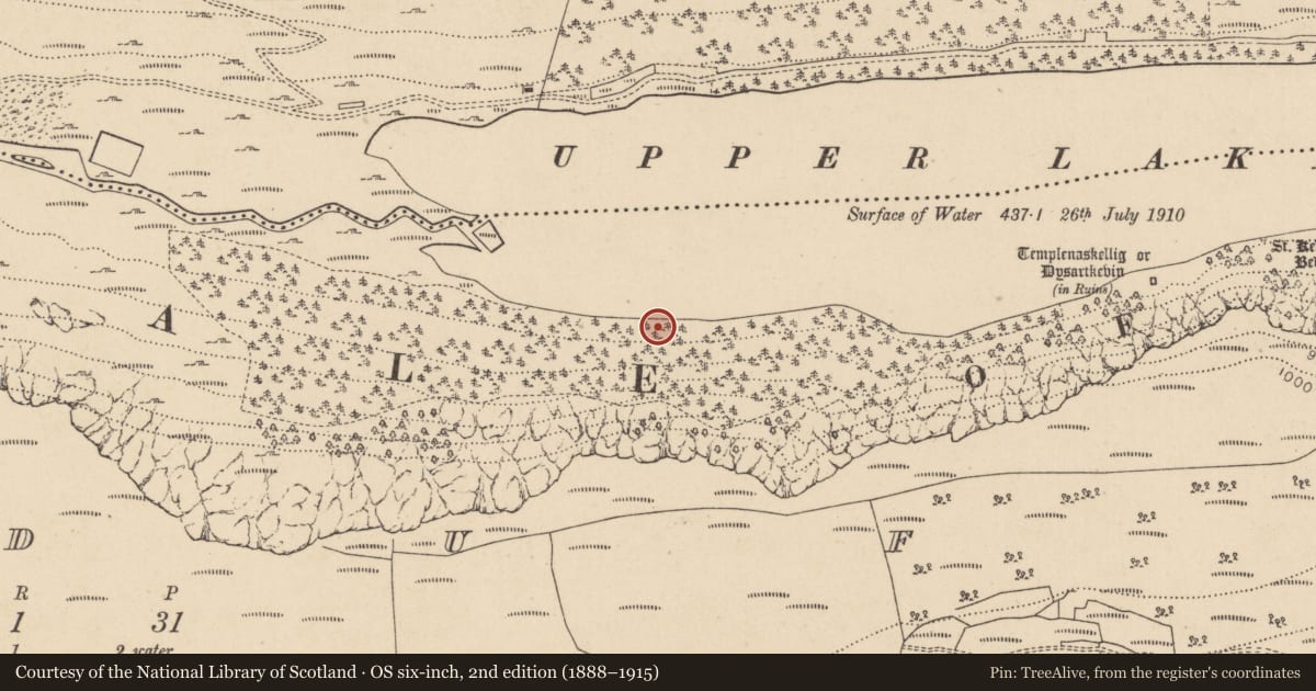 Ordnance Survey six-inch map, 2nd edition (1888–1915) covering the location of Charcoal-making site, Lugduff, County Wicklow, with a pin at the register's coordinates