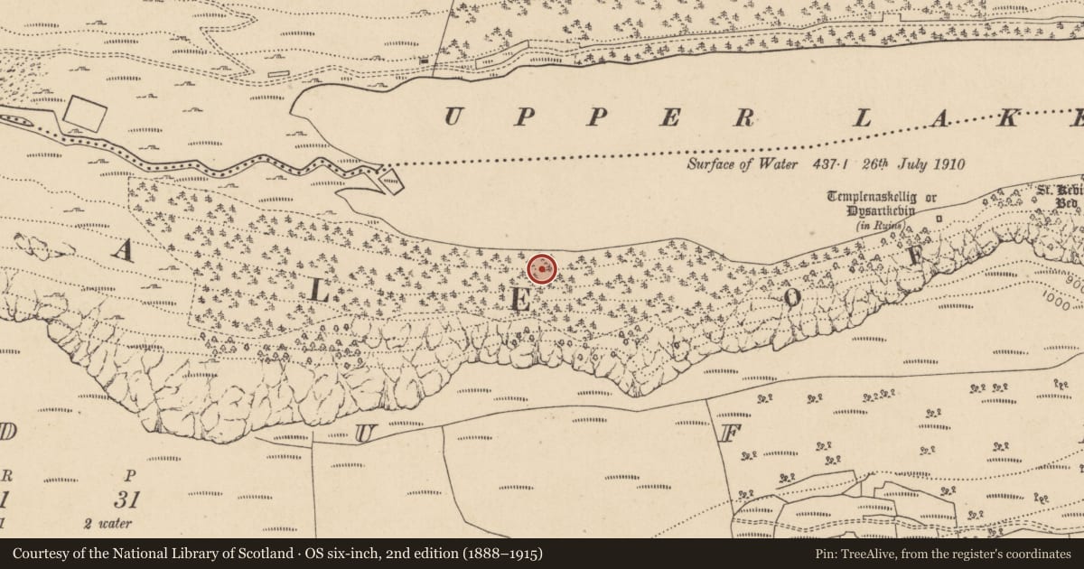 Ordnance Survey six-inch map, 2nd edition (1888–1915) covering the location of Charcoal-making site, Lugduff, County Wicklow, with a pin at the register's coordinates