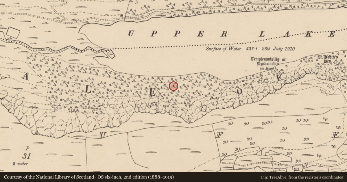Ordnance Survey six-inch map, 2nd edition (1888–1915) covering the location of Charcoal-making site, Lugduff, County Wicklow, with a pin at the register's coordinates