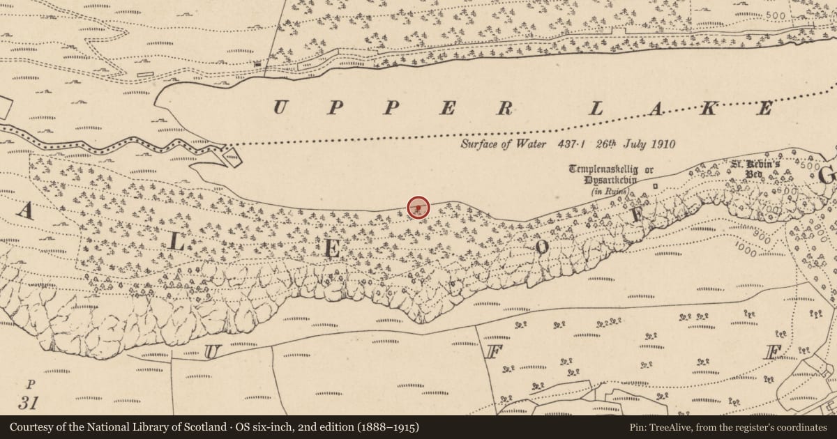 Ordnance Survey six-inch map, 2nd edition (1888–1915) covering the location of Charcoal-making site, Lugduff, County Wicklow, with a pin at the register's coordinates