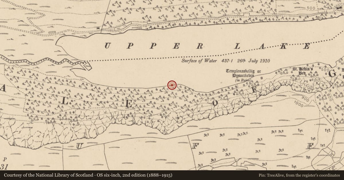 Ordnance Survey six-inch map, 2nd edition (1888–1915) covering the location of Charcoal-making site, Lugduff, County Wicklow, with a pin at the register's coordinates