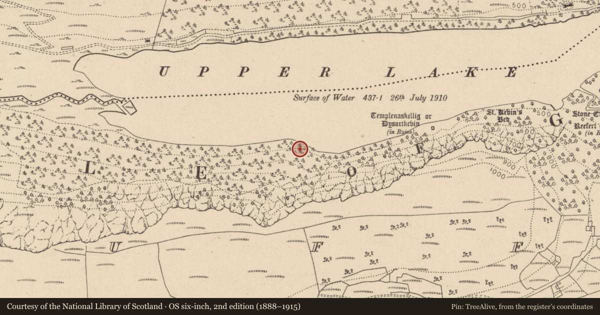 Ordnance Survey six-inch map, 2nd edition (1888–1915) covering the location of Charcoal-making site, Lugduff, County Wicklow, with a pin at the register's coordinates