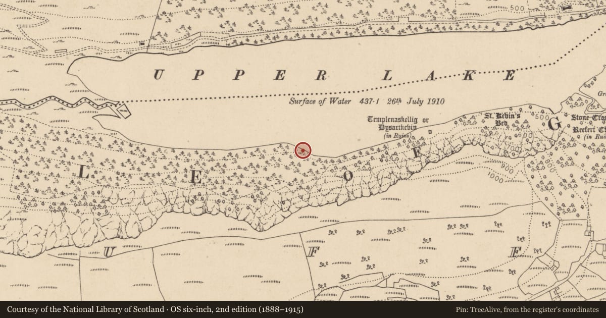 Ordnance Survey six-inch map, 2nd edition (1888–1915) covering the location of Charcoal-making site, Lugduff, County Wicklow, with a pin at the register's coordinates