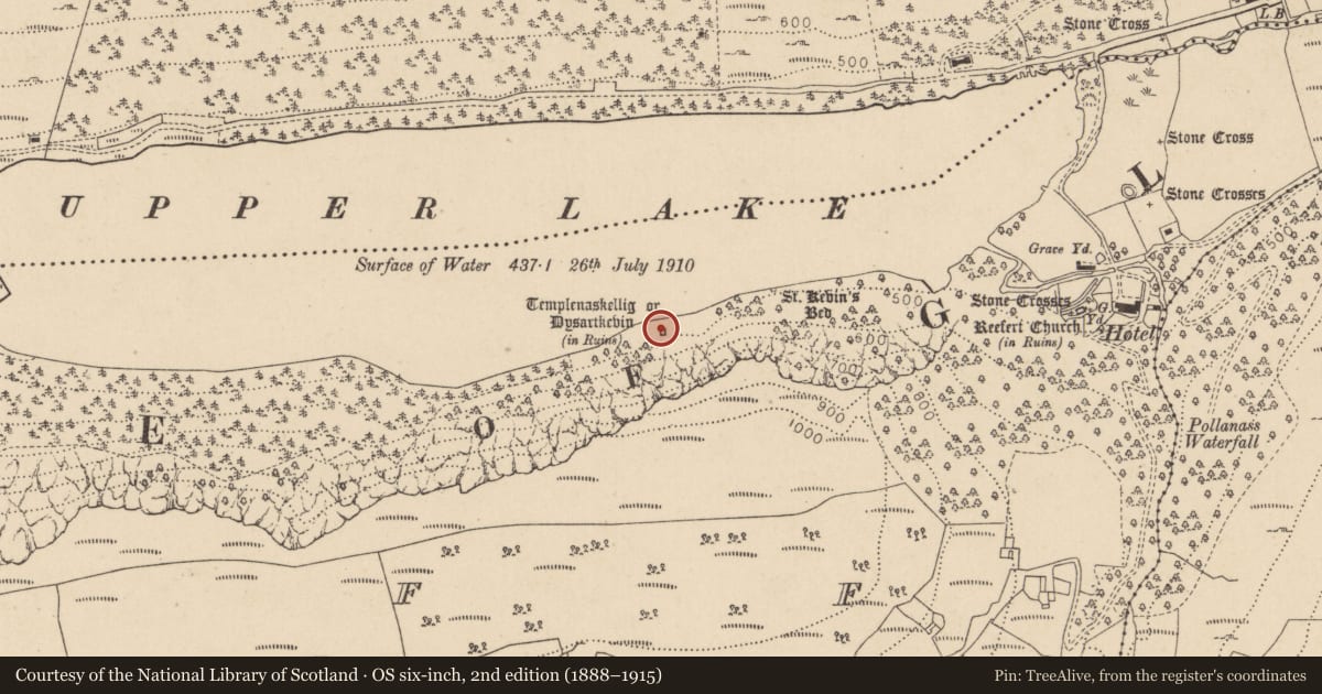 Ordnance Survey six-inch map, 2nd edition (1888–1915) covering the location of Church, Lugduff, County Wicklow, with a pin at the register's coordinates