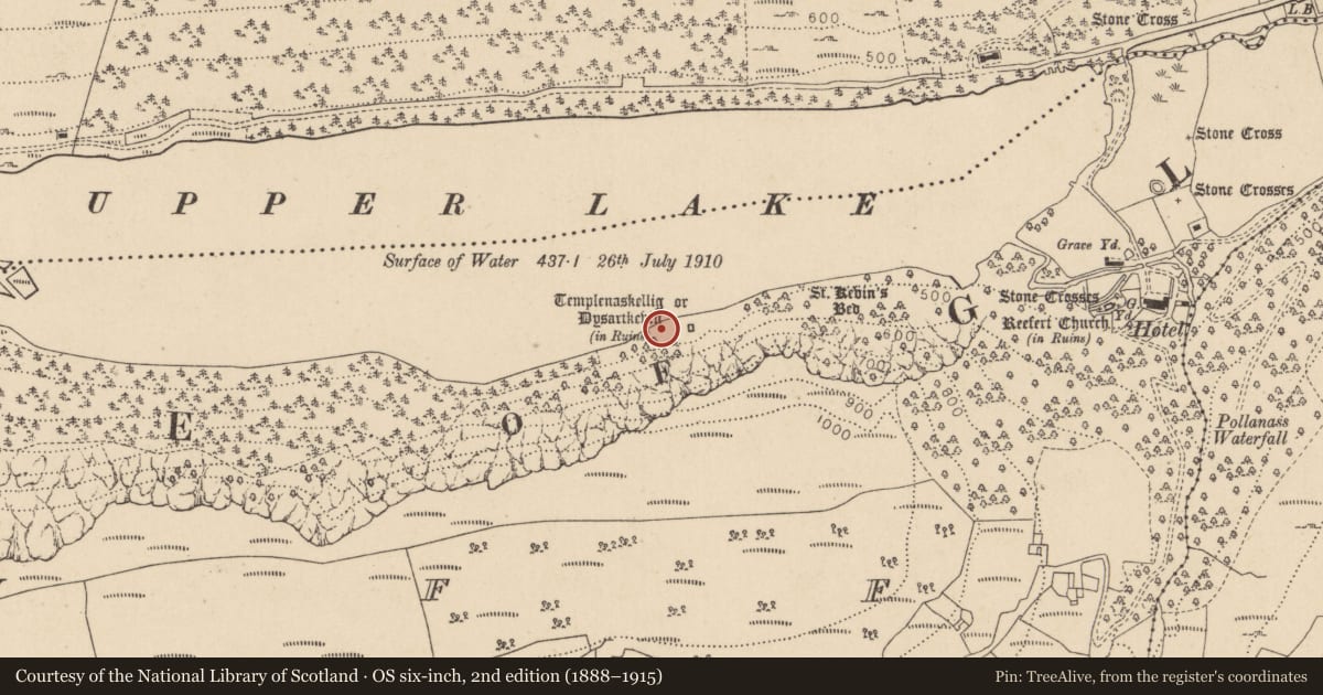 Ordnance Survey six-inch map, 2nd edition (1888–1915) covering the location of Settlement platform, Lugduff, County Wicklow, with a pin at the register's coordinates
