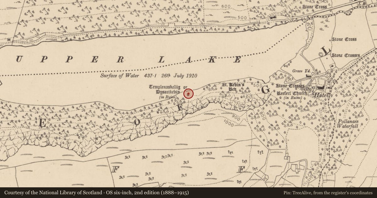 Ordnance Survey six-inch map, 2nd edition (1888–1915) covering the location of Cross, Lugduff, County Wicklow, with a pin at the register's coordinates