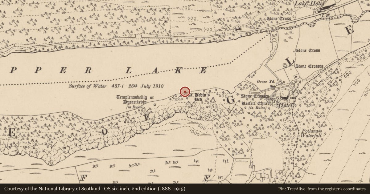 Ordnance Survey six-inch map, 2nd edition (1888–1915) covering the location of Cave, Lugduff, County Wicklow, with a pin at the register's coordinates