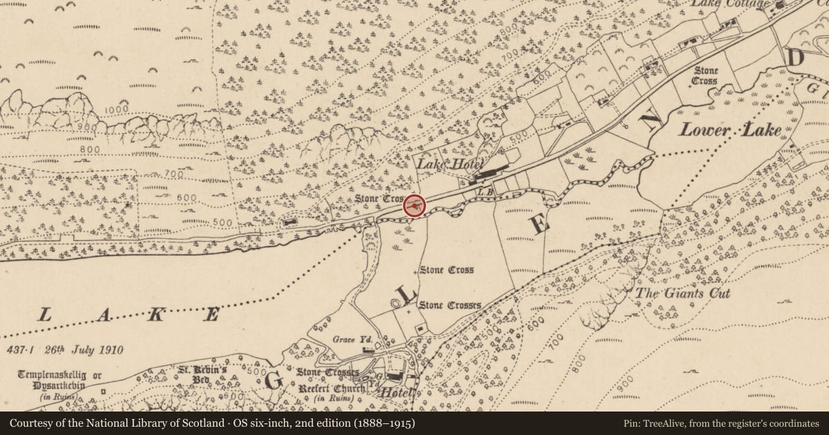 Ordnance Survey six-inch map, 2nd edition (1888–1915) covering the location of Cross - Wayside cross, Sevenchurches Or Camaderry, County Wicklow, with a pin at the register's coordinates